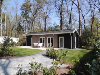 Chalet in Veluwe with Nature Views, cleaning included - Hoenderloo - 9