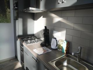 Tiny house near the Veluwe, cleaning included - Hoenderloo - 1