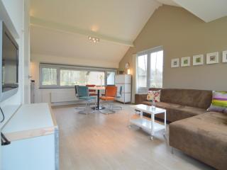 Holiday Home in Stramproy Nature Reserve, cleaning included - Stramproy - 2