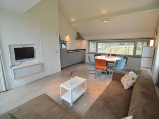 Holiday Home in Stramproy Nature Reserve, cleaning included - Stramproy - 1