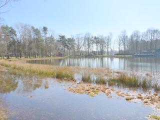 Inviting Holiday Home in Stramproy with Terrace, cleaning included - Stramproy - 5