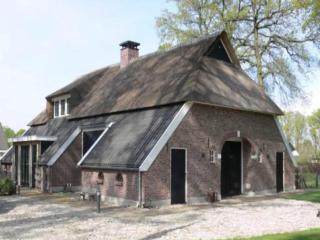 Farmhouse Nijverdal near Sallandse Heuvelrug, cleaning included - Nijverdal - 3