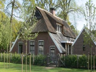 Farmhouse Nijverdal near Sallandse Heuvelrug, cleaning included - Nijverdal - 9