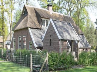 Farmhouse Nijverdal near Sallandse Heuvelrug, cleaning included - Nijverdal - 4