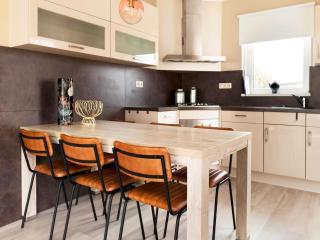 Villa near the water with sauna, spa and sloop, cleaning included - Earnewâld - 1