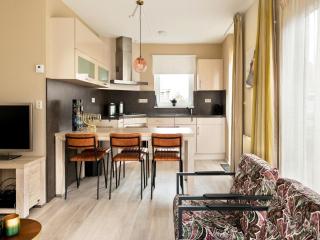 Villa near the water with sauna, spa and sloop, cleaning included - Earnewâld - 5