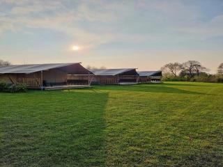 Glamping Tent in Friesland by Nature Reserve, cleaning included - De Veenhoop - 3