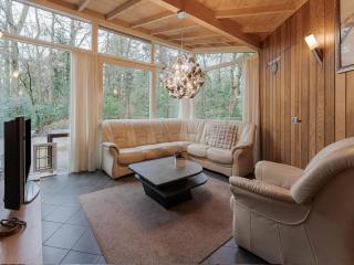 Forest House in Norg with Private Sauna, cleaning included - Norg - 2