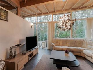 Forest House in Norg with Private Sauna, cleaning included - Norg - 9