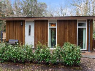 Forest House in Norg with Private Sauna, cleaning included - Norg - 3