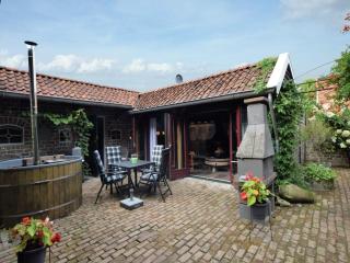 Cottage near Bourtange with Hot Tub, cleaning included - Musselkanaal - 9