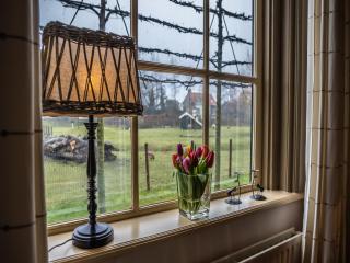 Chalet in Vrouwenpolder near Beach, cleaning included - Vrouwenpolder - 0