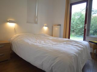 Holiday Home in Lemele near Sallandse Heuvelrug, cleaning included - Lemele - 3