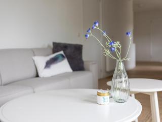 Large apartment on Ameland with terrace, cleaning included - Nes - 2