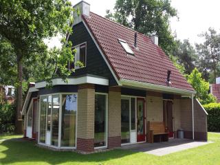Holiday Home in Lemele near Sallandse Heuvelrug, cleaning included - Lemele - 4