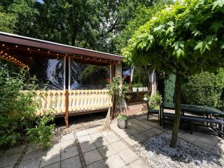 Chalet in Stegeren near Forest and Pond, cleaning included - Stegeren - 4