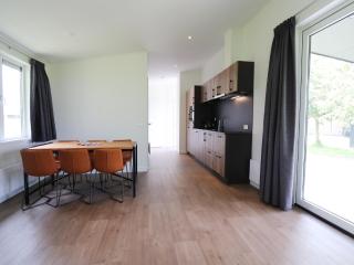 Chalet in Blesdijke near Weerribben Park, cleaning included - Blesdijke - 0