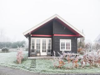 Chalet in Friesland near Alde Feanen, cleaning included - De Veenhoop - 3