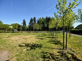 Holiday home with wifi in Veluwe, cleaning included - Eerbeek - 7