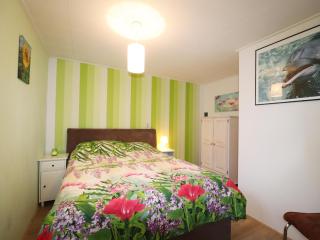 Holiday Home in Donkerbroek near Forest Trails, cleaning included - Donkerbroek - 6