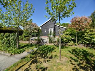 Holiday home with wifi in Veluwe, cleaning included - Eerbeek - 0