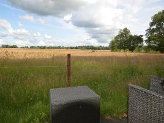 Holiday Home near Sallandse Heuvelrug, cleaning included - Lemele - 6
