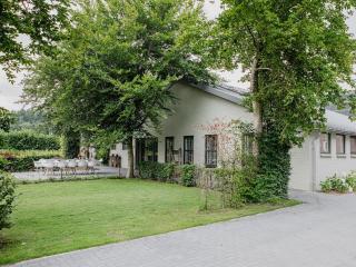 House in Leenderstrijp near Leenderbos Trails, cleaning included - Leende - 9