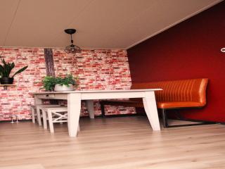 Chalet in Haulerwijk near Blauwe Bos, cleaning included - Haulerwijk - 5