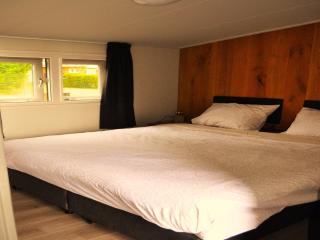 Chalet in Haulerwijk near Blauwe Bos, cleaning included - Haulerwijk - 3