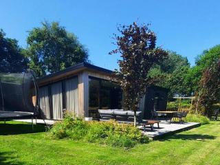 Chalet in Haulerwijk near Blauwe Bos, cleaning included - Haulerwijk - 7
