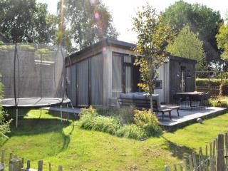 Chalet in Haulerwijk near Blauwe Bos, cleaning included - Haulerwijk - 9