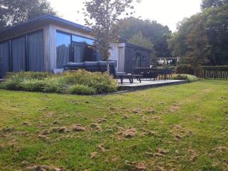 Chalet in Haulerwijk near Blauwe Bos, cleaning included - Haulerwijk - 0