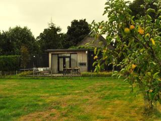 Chalet in Haulerwijk near Blauwe Bos, cleaning included - Haulerwijk - 8