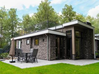 Modern holiday home near Veluwe, cleaning included - Hoenderloo - 9