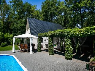 Villa in Austria with Heated Pool, cleaning included - Wateren - 4