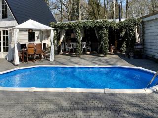 Villa in Austria with Heated Pool, cleaning included - Wateren - 9