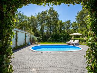Villa in Austria with Heated Pool, cleaning included - Wateren - 3
