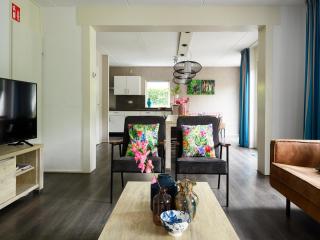 Comfortable family and friends house with wellness, cleaning included - Vlagtwedde - 3