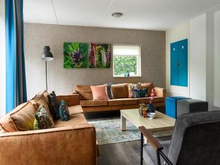 Comfortable family and friends house with wellness, cleaning included - Vlagtwedde - 7