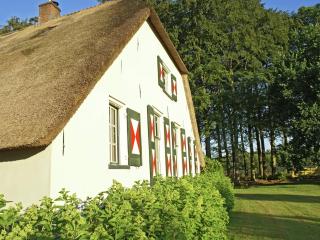 Farmhouse in Doorn near Utrechtse Heuvelrug, cleaning included - Doorn - 4