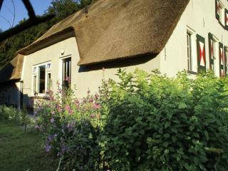 Farmhouse in Doorn near Utrechtse Heuvelrug, cleaning included - Doorn - 1
