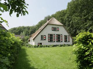 Farmhouse in Doorn near Utrechtse Heuvelrug, cleaning included - Doorn - 9
