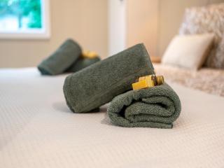 Holiday Home in Gelderland near Woodlands, cleaning included - Hattemerbroek - 1
