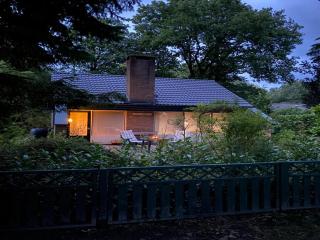 Forest House in Appelscha near National Parks, cleaning included - Appelscha - 5