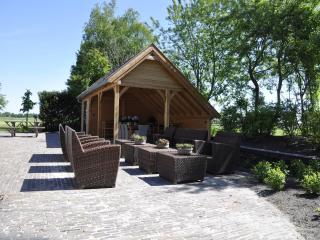 Spacious Mansion in Nijensleek with Sauna, cleaning included - Nijensleek - 6