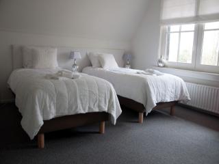 Spacious Mansion in Nijensleek with Sauna, cleaning included - Nijensleek - 8