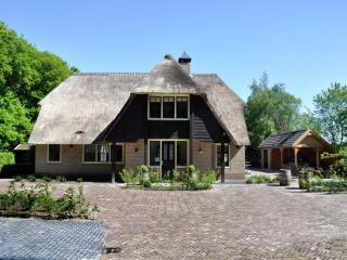 Spacious Mansion in Nijensleek with Sauna, cleaning included - Nijensleek - 5