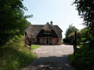 Spacious Mansion in Nijensleek with Sauna, cleaning included - Nijensleek - 3