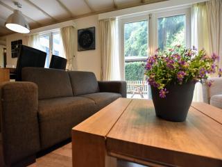 Chalet in Veluwe near Sauna Drôme, cleaning included - Putten - 1