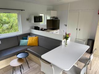 Chalet in Friesland near Alde Feanen Park, cleaning included - De Veenhoop - 0
